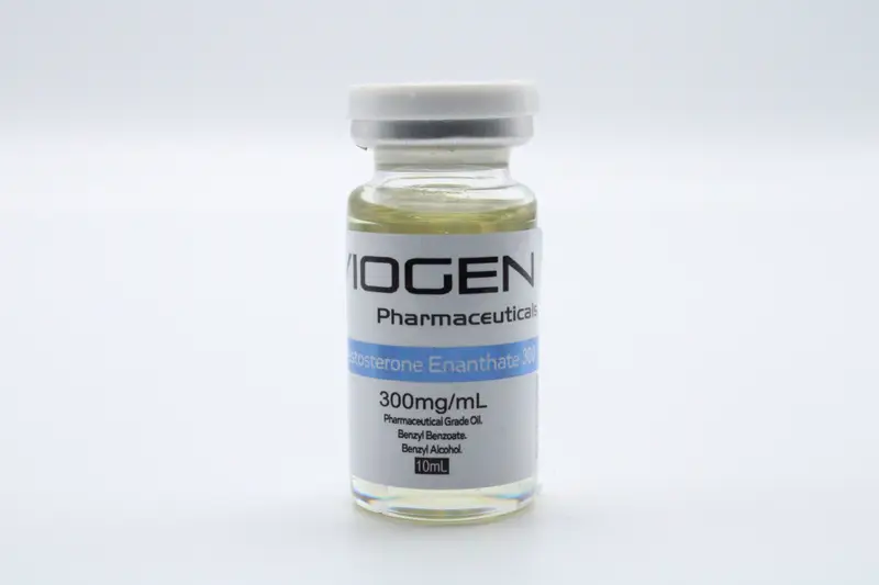Viogen-Testosterone-Enanthate-300mg.webp Viogen Testosterone Enanthate 300mg - Image 1